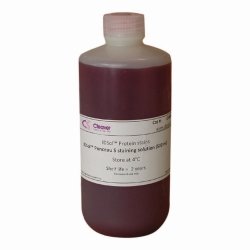 Staining Solution Ponceau S | Type : CSL-PSS Staining solution